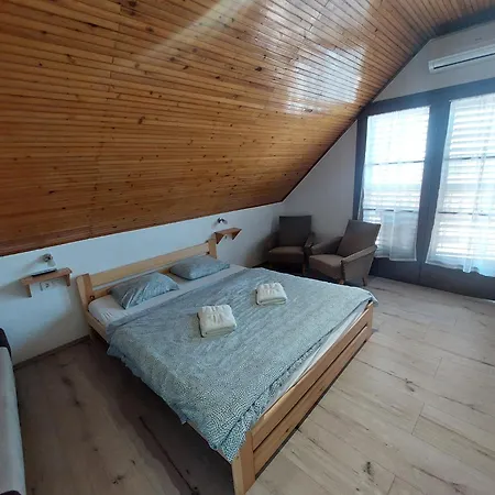 Parti Nyaralo 펜션 *