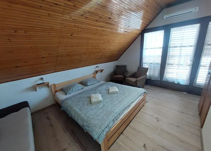 Parti Nyaralo 펜션 *